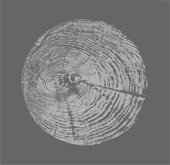 Circle design from a tree with a lunar style in black and white. Tree wood texture in grayscale or grays.