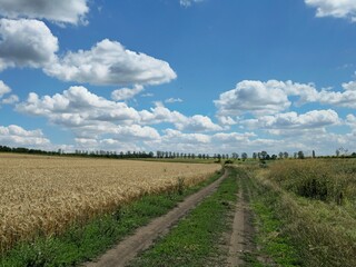 A dirt road through a field