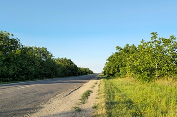 A road with trees on the side