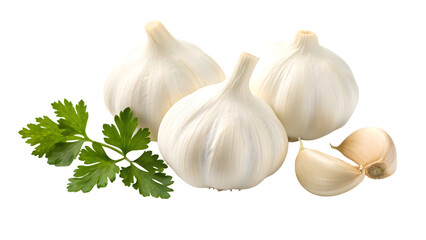 fresh garlic bulbs and cloves with parsley on white background isolated on white background
