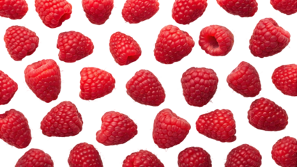 fresh raspberries filling the frame creating vibrant red background isolated on white background