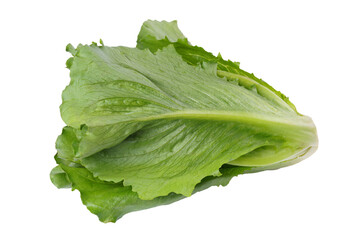 Whole head of fresh green ramen salad, lettuce isolated on white, transparent background. Clean and...