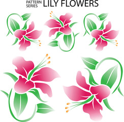 vector pattern illustration lily flowers