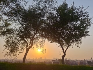 sunset in the forest