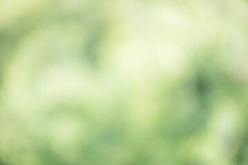 Defocused green background. Natural bokeh, blurred grass.
