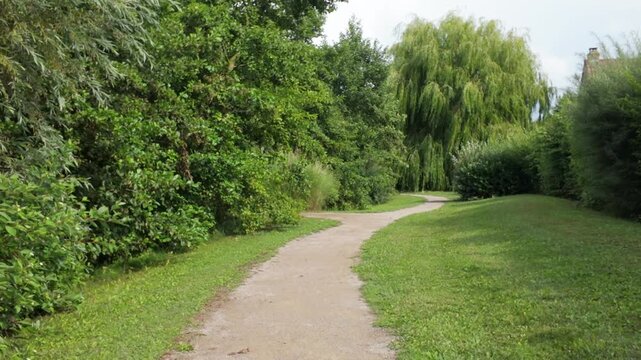 POV shot moving forward along a winding path in a lush green park
