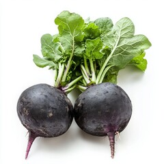 Two Round Black Radishes with Green Tops root vegetable