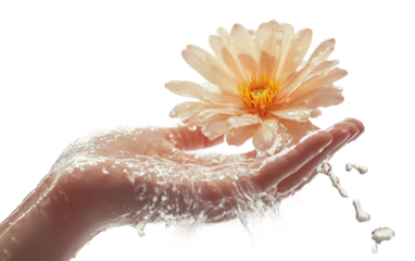 Artistic water sculpture depicting a realistic human hand suspended in midair isolated on transparent background PNG