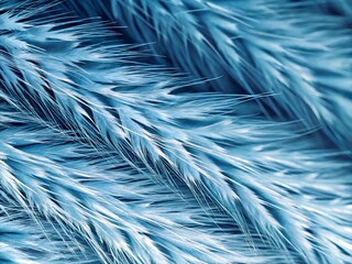 Obraz premium abstract macro background close-up