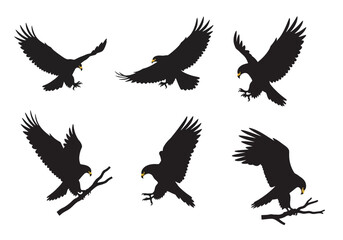 Obraz premium Six Black Eagle Silhouettes in Various Flight and Perched Poses.