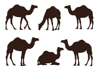 Naklejka premium Collection of Six Dark Brown Camel Silhouettes in Various Poses.