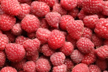 Many fresh ripe raspberries as background, top view
