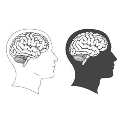 Art of side profile of a human head showing the brain in outline and silhouette, isolated on white background