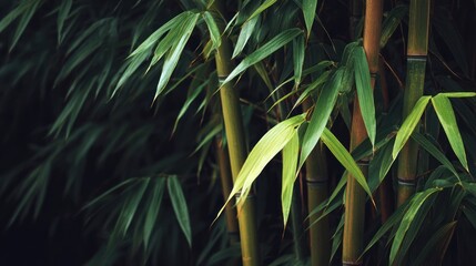 Naklejka premium Lush bamboo foliage close-up