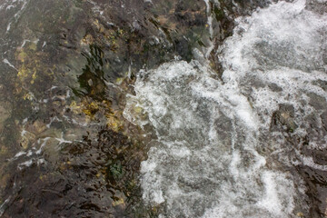 Flowing Clear River Water with White Foam and Submerged Rocks