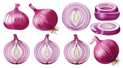 A collection of red onions in different sections