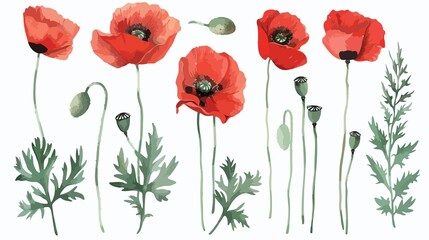 Obraz premium Watercolor painting of red poppies and green leaves