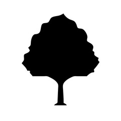 A single black cat sits in a dark environment its silhouette clearly defined against a lighter background