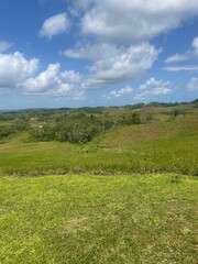 Expansive green fields under a vibrant blue sky with fluffy clouds, showcasing a peaceful rural landscape.