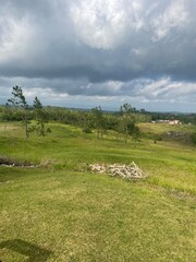 Open grassy field with scattered trees under a cloudy sky, showcasing a peaceful rural landscape.