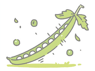 Fototapeta premium はじける緑の宝石 - 新鮮なエンドウ豆の手描きイラスト