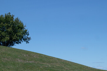 Solitude background with single tree atop the hill against blue sky