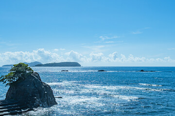 海