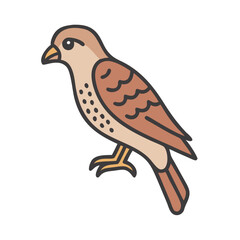 Charming Cartoon Bird Illustration on Black Background, Nature and Wildlife