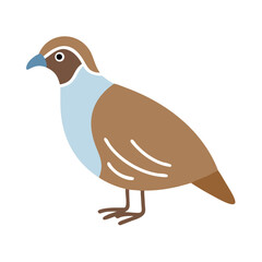 Partridge Illustration: Simple Design of a Brown Bird on Black Background