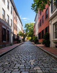 Fototapeta premium Cobblestone street between historic buildings