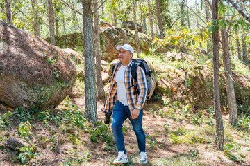 Obraz premium Photographer exploring a pine forest with camera and gear