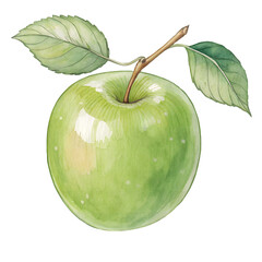 Green Apple Watercolor Illustration: A vibrant watercolor illustration of a crisp, green apple, showcasing its smooth skin, glossy texture, and fresh leaves on a stem.