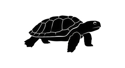 Detailed Outline of the Giant Tortoise Habitat and Behavior for Conservation Efforts