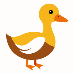 Duck on white background 