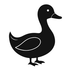 duck isolated on white