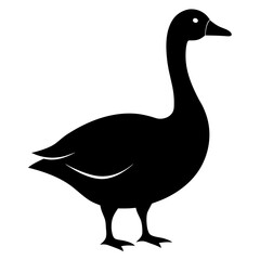 vector illustration of a white duck