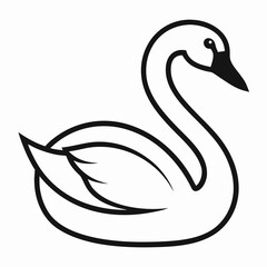 black swan vector illustration