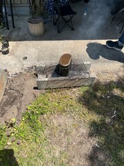 キャンプでのご飯を炊いた