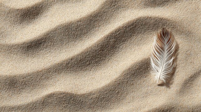 Feather rests on sunlit, wavy sand creating delicate shadows and texture - Powered by Adobe