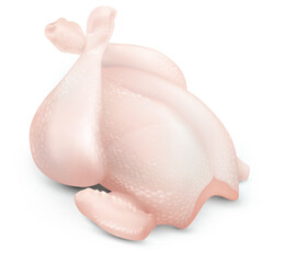 a vector illustration of a fresh raw chicken