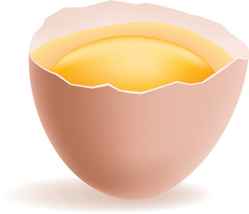broken egg shell with egg yolk inside it