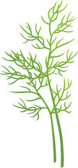 Naklejka premium vector illustration of rosemary leaves