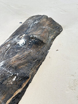 A weathered piece of dark driftwood lies diagonally on a light sandy beach, displaying a rough texture with white salt marks and natural imperfections.