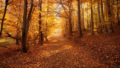 autumn forest trail with golden leaves
