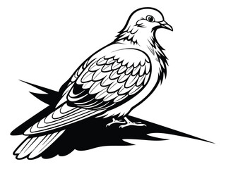 Fototapeta premium bird of prey