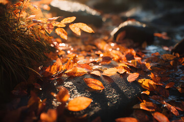 Ethereal Dance of Colored Leaves: A Vibrant Testament to Nature's Seasonal Symphony and the Unwavering Beauty of Autumn's Richly Hued Tapestries