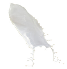 milk splash isolated on white background