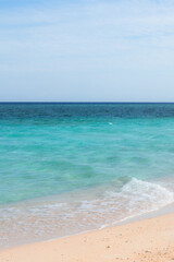 Tropical Beach with Turquoise Water Seascape