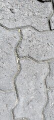 Obraz premium dry cracked ground