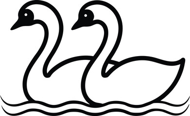 two swans on the water